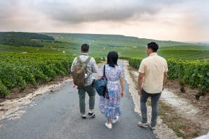 trois personnes se promènent dans le vignoble champenois - Epernay Tourisme
