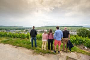 Groupe regardant la vue sur le vignoble - Epernay Tourisme