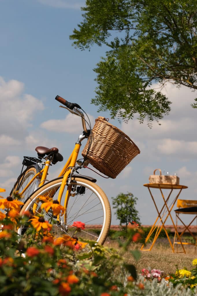 un vélo dans la campagne champenoise - Epernay tourisme