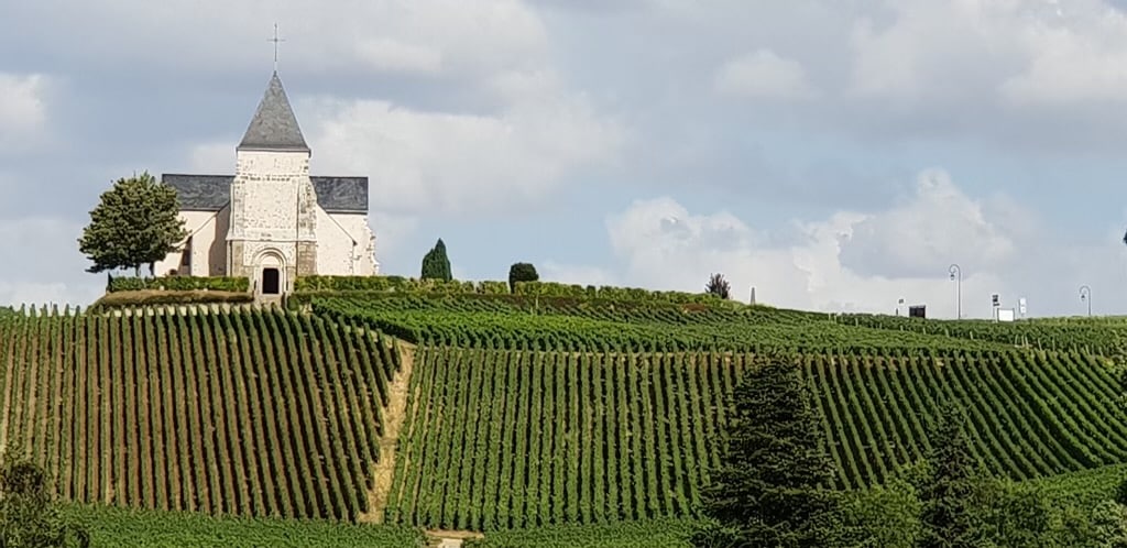 Eglise et vignobles - Epernay tourisme