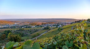 vignoble champenois vue panoramique - Epernay Tourisme