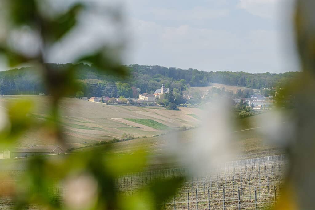 vue sur le vignoble et village champenois - Epernay Tourisme
