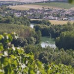 Paysages d'été en Champagne - Epernay Tourisme