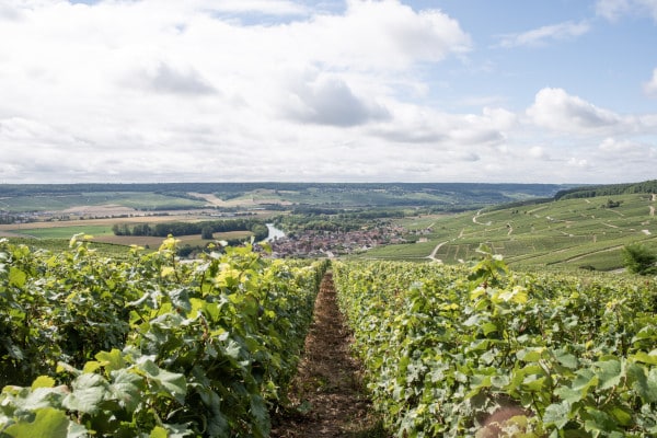Circuit découverte vigneron Champagne & déjeuner depuis Epernay regiondo