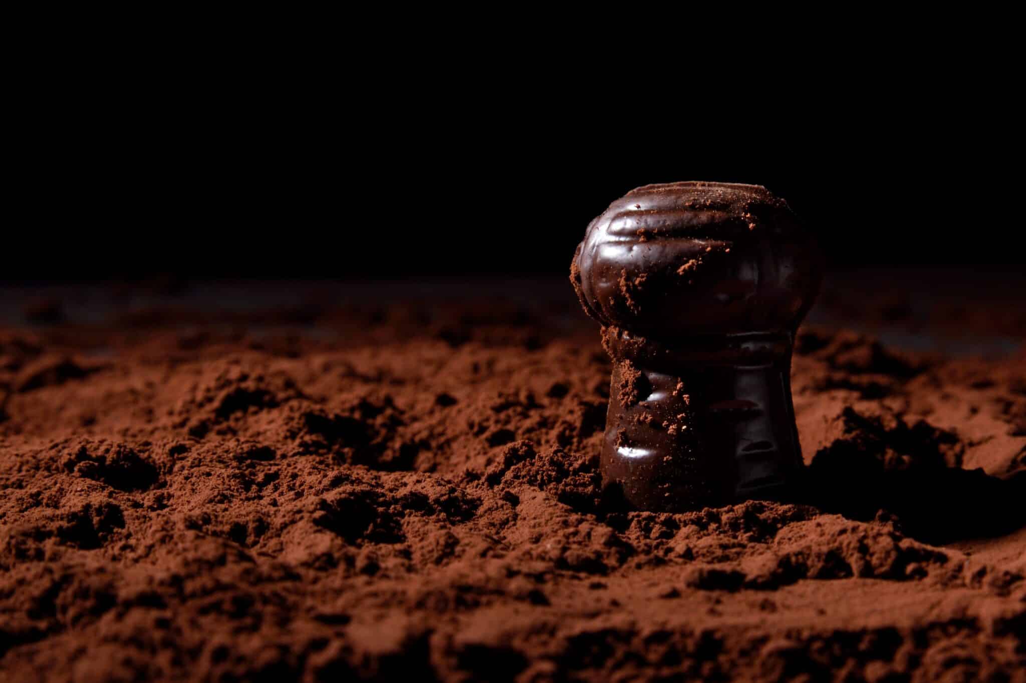 crédit Véronique Montané