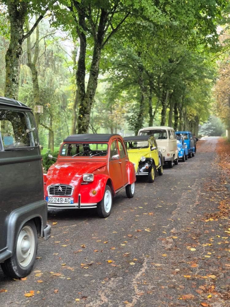 nos véhicules - crédit my vintage tour company